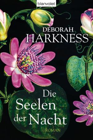 Cover of the book Die Seelen der Nacht by Robert Galbraith