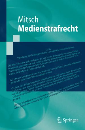 Cover of the book Medienstrafrecht by Karl H. E. Kroemer, Hiltrud J. Kroemer, Katrin E. Kroemer-Elbert