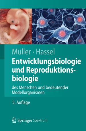 Cover of the book Entwicklungsbiologie und Reproduktionsbiologie des Menschen und bedeutender Modellorganismen by Thomas Schuster, Leona Rüdt von Collenberg