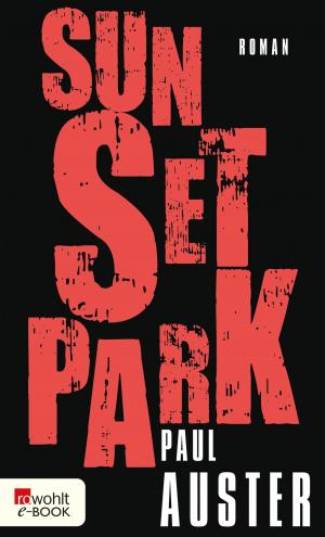 Cover of the book Sunset Park by Kathrin Passig, Aleks Scholz