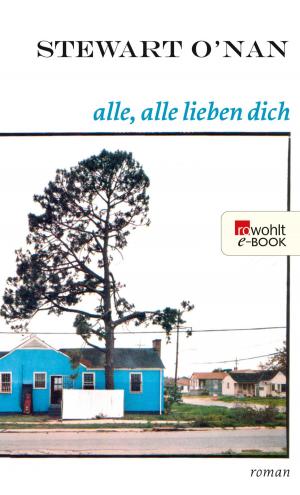 bigCover of the book Alle, alle lieben dich by 