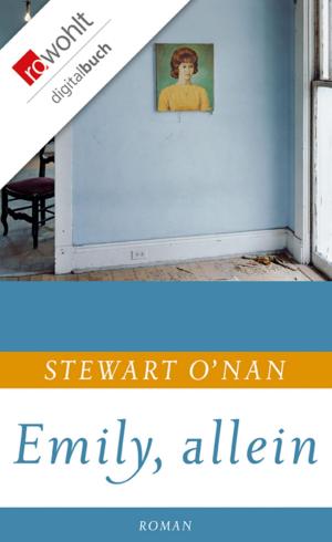 Cover of the book Emily, allein by Stewart O'Nan