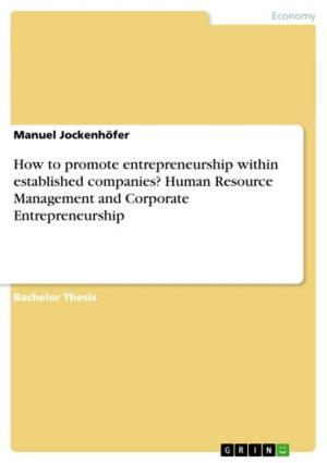 Cover of the book How to promote entrepreneurship within established companies? Human Resource Management and Corporate Entrepreneurship by Julia Gleich