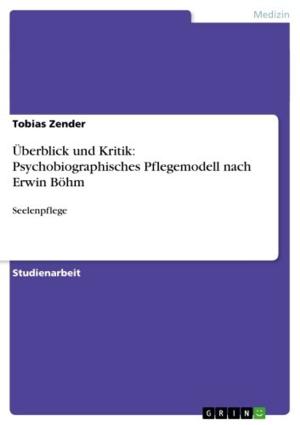 Cover of the book Überblick und Kritik: Psychobiographisches Pflegemodell nach Erwin Böhm by Natalie Züfle