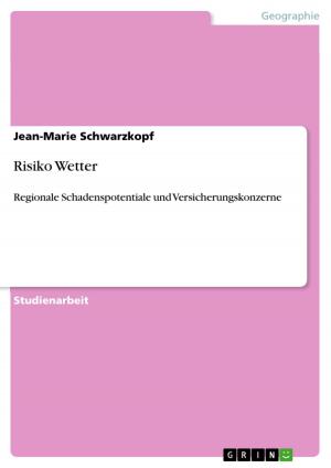 Cover of the book Risiko Wetter by Cordula de Leeuw
