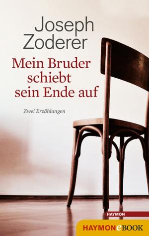 Cover of the book Mein Bruder schiebt sein Ende auf by Joseph Zoderer