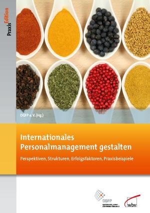 Cover of Internationales Personalmanagement gestalten