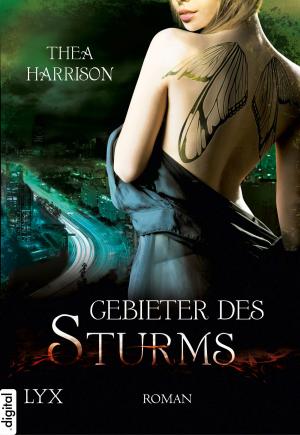 Cover of the book Gebieter des Sturms by Mark Anthony Tierno