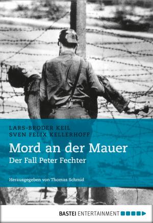 Cover of the book Mord an der Mauer by Michelle Raven