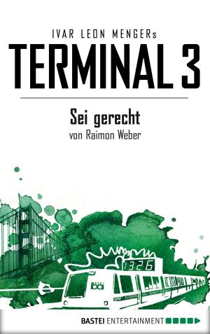 Cover of the book Terminal 3 - Folge 6 by Nina Schott