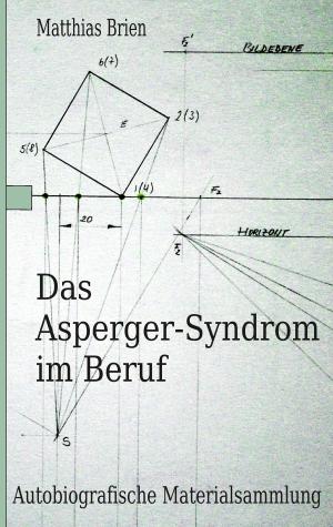 Cover of the book Das Asperger-Syndrom im Beruf by Cord Sander