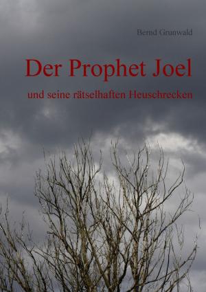 Cover of the book Der Prophet Joel by Sebastian Stammsen
