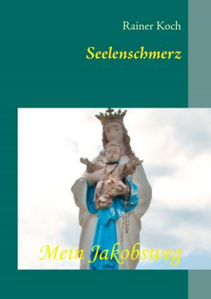 Cover of the book Seelenschmerz by Guido Quelle