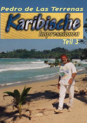 Cover of the book Karibische Impressionen Teil III by Franz Stadler