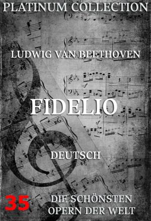 Cover of the book Fidelio by Wolfgang Amadeus Mozart, Johann Gottlieb Stephanie