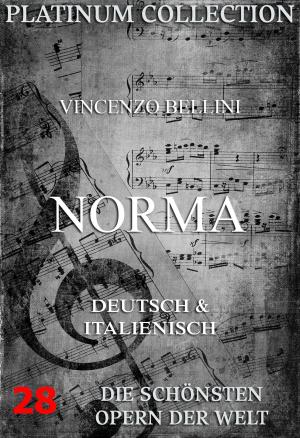 Cover of the book Norma by John Philip Young