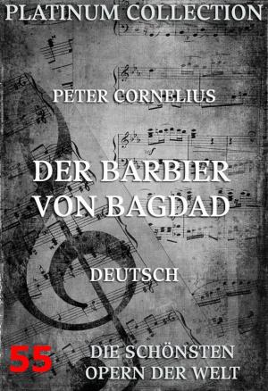 Cover of the book Der Barbier von Bagdad by Johanna Spyri
