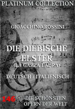 Cover of the book Die diebische Elster by Ludwig Ganghofer