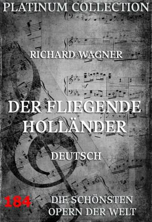 Cover of the book Der fliegende Holländer by Jonathan Swift