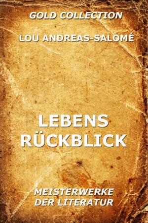 Cover of the book Lebensrückblick by Lucius R. Paige
