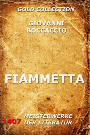 Cover of the book Fiammetta by Levin Schücking
