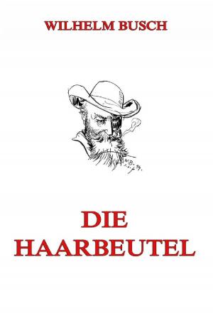 Cover of the book Die Haarbeutel by Friedrich Nietzsche