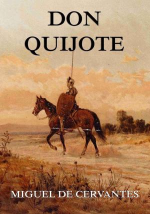 Cover of the book Don Quijote by Johann Karl Wezel
