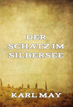 Cover of the book Der Schatz im Silbersee by Hiram E. Butler