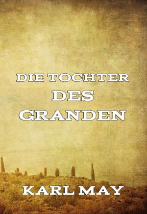 Cover of the book Die Tochter des Granden by Felix Dahn