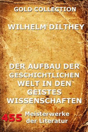 Cover of the book Der Aufbau der geschichtlichen Welt in den Geisteswissenschaften by Angélica Bovino