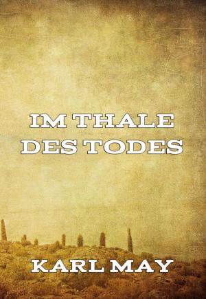 Cover of the book Im Thale des Todes by Friedrich Schlegel, Dorothea Schlegel
