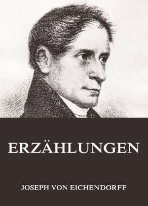 Cover of the book Erzählungen by Johanna Spyri