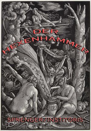 Cover of the book Der Hexenhammer by Wilhelm Scherer