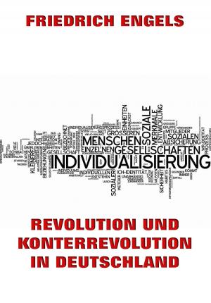 Book cover of Revolution und Konterrevolution in Deutschland
