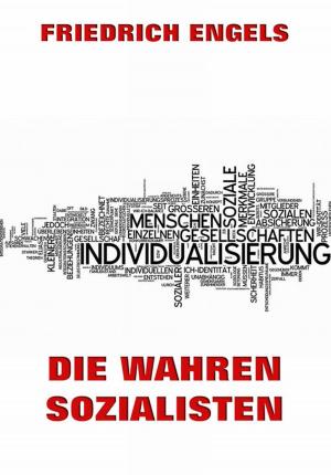 Cover of the book Die wahren Sozialisten by Elliott Leyton