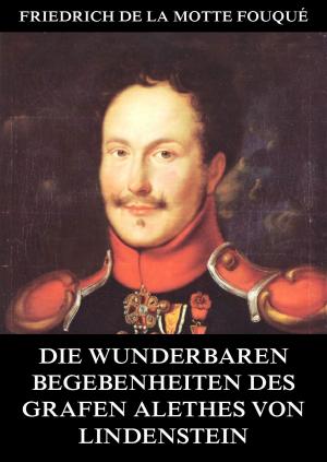 Cover of the book Die wunderbaren Begebenheiten des Grafen Alethes von Lindenstein by August von Platen