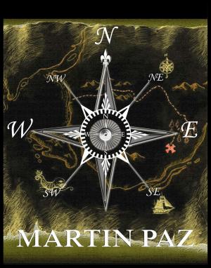 Cover of the book Martin Paz by Wilhelm Scherer