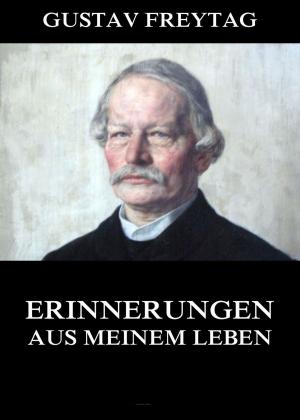 Cover of the book Erinnerungen aus meinem Leben by Clarence Monroe Burton
