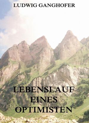 Cover of the book Lebenslauf eines Optimisten by Ludwig Tieck