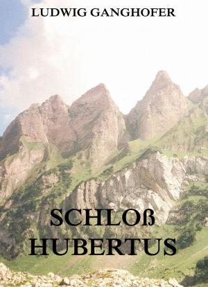 Cover of the book Schloß Hubertus by Benvenuto Cellini