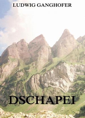 Cover of the book Dschapei by Johanna Spyri