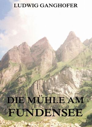 Cover of the book Die Mühle am Fundensee by Wilhelm Busch
