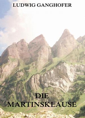 Cover of the book Die Martinsklause by Michael Georg Conrad