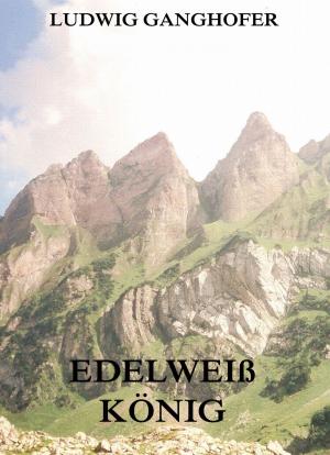 Cover of the book Edelweißkönig by Johann Peter Kirsch