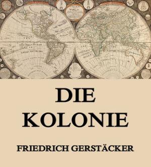 Cover of the book Die Kolonie by Washington Irving