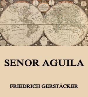 Cover of the book Senor Aguila by Cheryl St.John