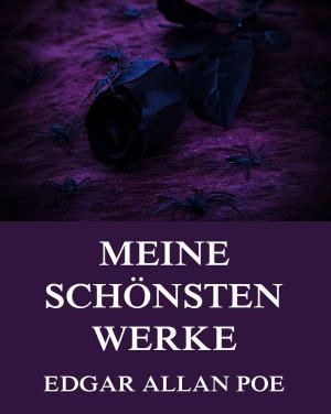 Cover of the book Meine schönsten Werke by Booker T. Washington