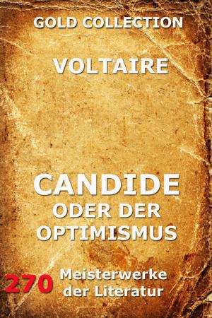 Cover of the book Candide oder der Optimismus by Friedrich Hölderlin
