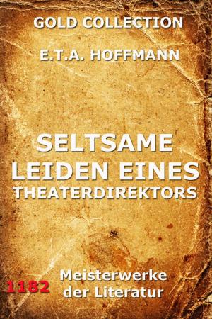 Cover of the book Seltsame Leiden eines Theaterdirektors by Magnus Jacob Crusenstolpe
