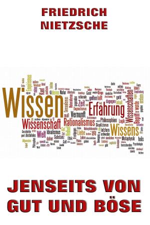 Cover of the book Jenseits von Gut und Böse by Georg Simmel